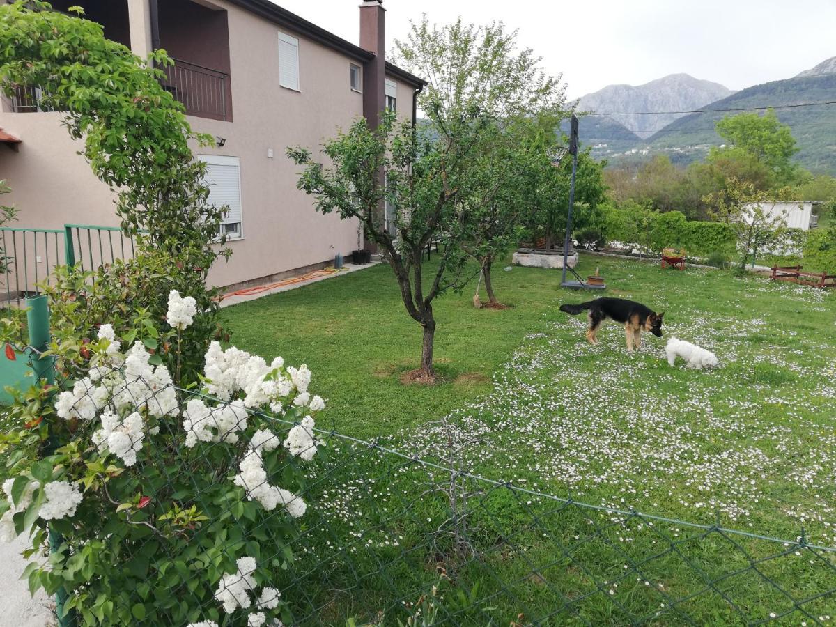 Apartmani EMMA Kotor Cameră foto
